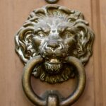 door knocker, lion head, vintage, bronze, antique, metal, aged, metallic, brass, decor, decoration, decorative, ornament, brown lion, brown door, brown metal, door knocker, door knocker, door knocker, door knocker, door knocker
